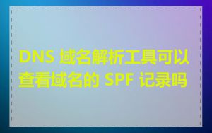 DNS 域名解析工具可以查看域名的 SPF 记录吗