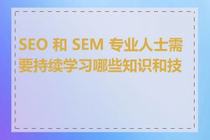 SEO 和 SEM 专业人士需要持续学习哪些知识和技能