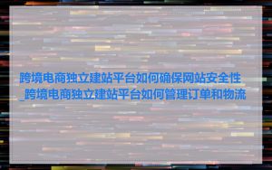 跨境电商独立建站平台如何确保网站安全性_跨境电商独立建站平台如何管理订单和物流