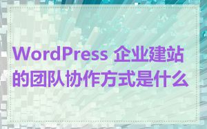 WordPress 企业建站的团队协作方式是什么