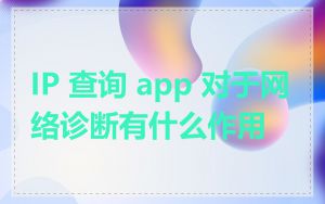 IP 查询 app 对于网络诊断有什么作用