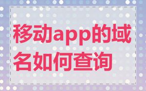 移动app的域名如何查询