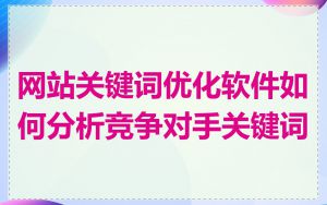 网站关键词优化软件如何分析竞争对手关键词