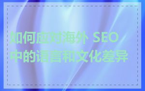 如何应对海外 SEO 中的语言和文化差异