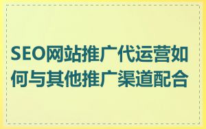 SEO网站推广代运营如何与其他推广渠道配合