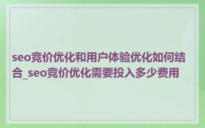 seo竞价优化和用户体验优化如何结合_seo竞价优化需要投入多少费用