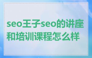 seo王子seo的讲座和培训课程怎么样