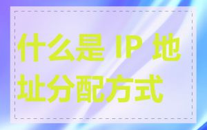 什么是 IP 地址分配方式