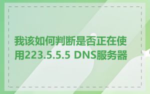 我该如何判断是否正在使用223.5.5.5 DNS服务器