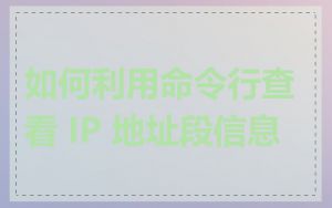 如何利用命令行查看 IP 地址段信息