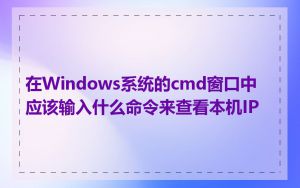 在Windows系统的cmd窗口中应该输入什么命令来查看本机IP