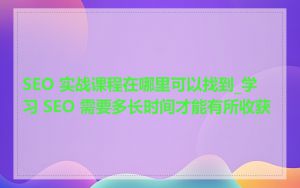 SEO 实战课程在哪里可以找到_学习 SEO 需要多长时间才能有所收获