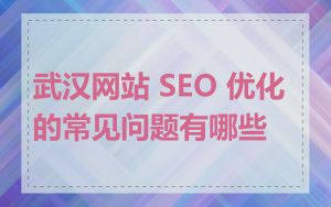 武汉网站 SEO 优化的常见问题有哪些