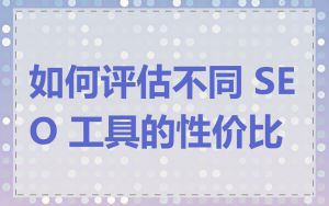 如何评估不同 SEO 工具的性价比