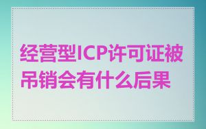 经营型ICP许可证被吊销会有什么后果