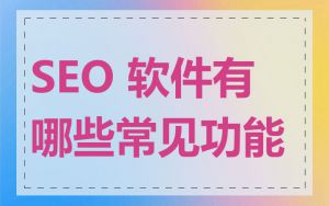 SEO 软件有哪些常见功能