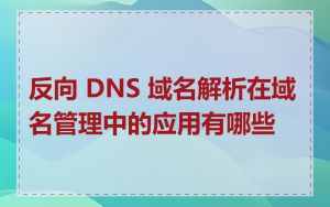 反向 DNS 域名解析在域名管理中的应用有哪些