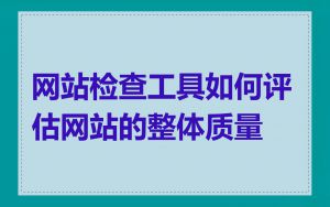 网站检查工具如何评估网站的整体质量