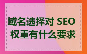 域名选择对 SEO 权重有什么要求