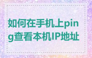 如何在手机上ping查看本机IP地址