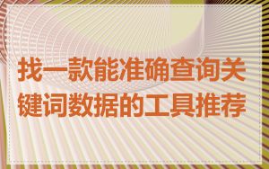 找一款能准确查询关键词数据的工具推荐