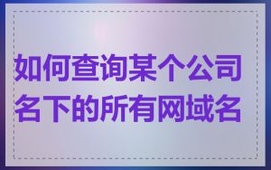 如何查询某个公司名下的所有网域名