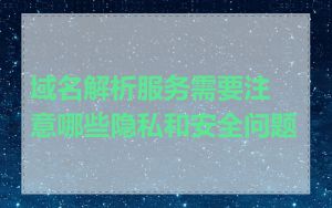 域名解析服务需要注意哪些隐私和安全问题