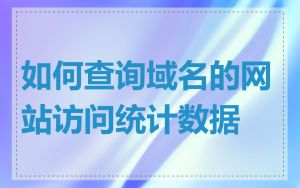 如何查询域名的网站访问统计数据