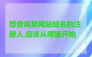 想查询某网站域名的注册人,应该从哪里开始