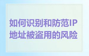 如何识别和防范IP地址被盗用的风险