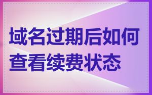 域名过期后如何查看续费状态