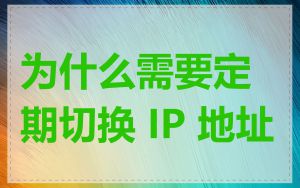 为什么需要定期切换 IP 地址