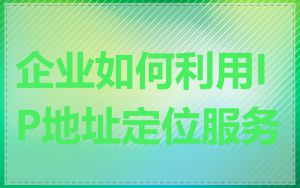 企业如何利用IP地址定位服务