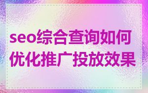 seo综合查询如何优化推广投放效果