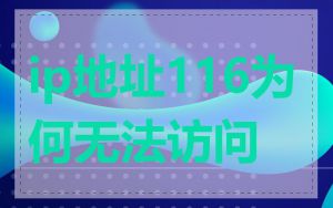 ip地址116为何无法访问