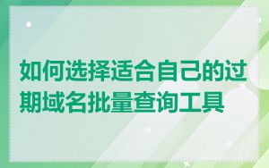 如何选择适合自己的过期域名批量查询工具