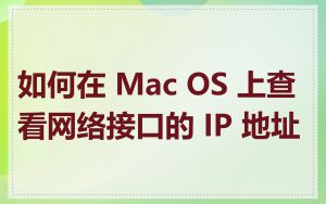 如何在 Mac OS 上查看网络接口的 IP 地址