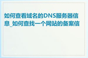 如何查看域名的DNS服务器信息_如何查找一个网站的备案信息