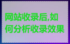 网站收录后,如何分析收录效果