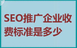 SEO推广企业收费标准是多少