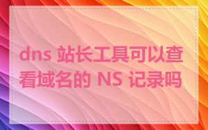 dns 站长工具可以查看域名的 NS 记录吗