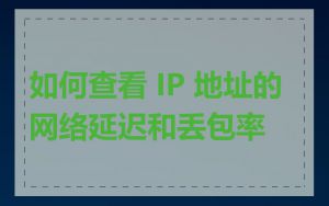 如何查看 IP 地址的网络延迟和丢包率