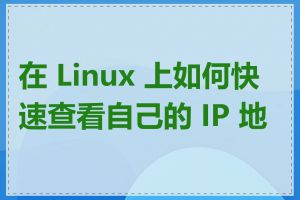 在 Linux 上如何快速查看自己的 IP 地址