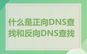 什么是正向DNS查找和反向DNS查找