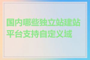 国内哪些独立站建站平台支持自定义域名