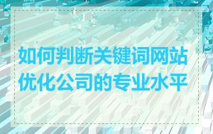 如何判断关键词网站优化公司的专业水平