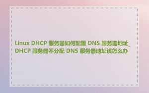 Linux DHCP 服务器如何配置 DNS 服务器地址_DHCP 服务器不分配 DNS 服务器地址该怎么办