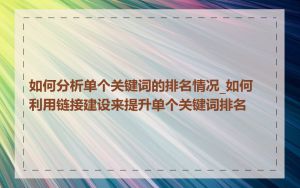 如何分析单个关键词的排名情况_如何利用链接建设来提升单个关键词排名