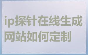 ip探针在线生成网站如何定制