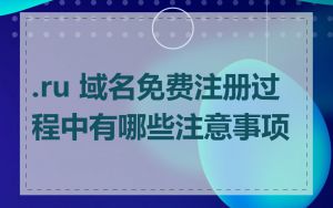 .ru 域名免费注册过程中有哪些注意事项